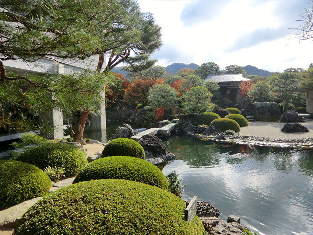 Le jardin japonais : caractéristiques et composition