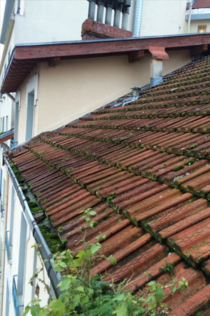 Nettoyage toiture: Méthode de travail, réalisation & prix nettoyer toiture
